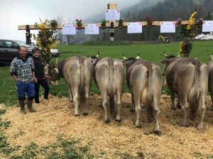 A77_ Kempf Mathilda_Brglen_ULME CH 120.0625.1947.9 URBAN 